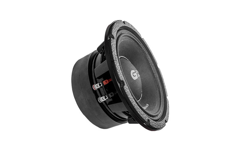 Pros and cons of a 10-inch speaker