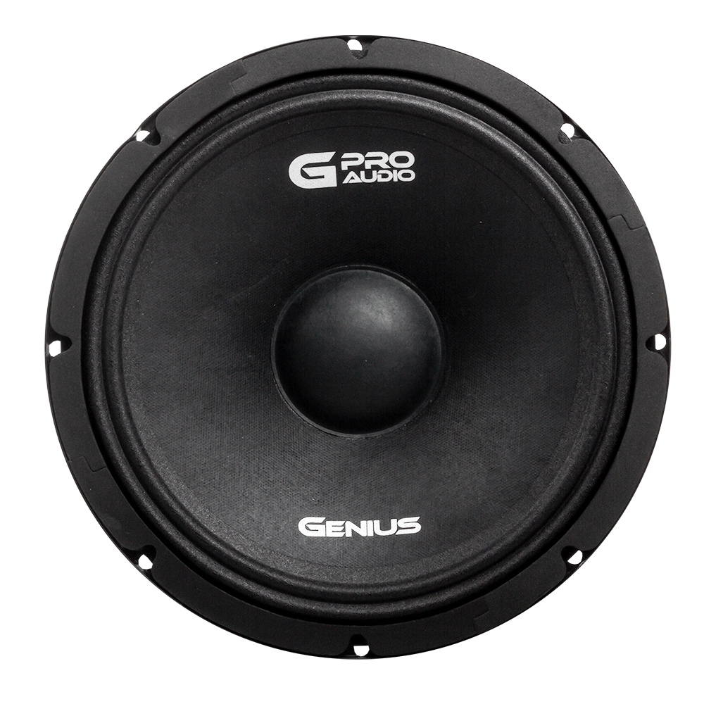 10'' MIDRANGE PRO AUDIO SPEAKER 400WMAX