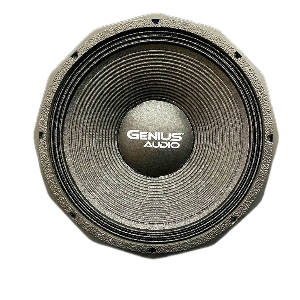21” PROFESSIONAL WOOFER SPEAKER NEODYMIUM MAGNET S1 3000 WRMS